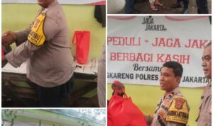 IMG-20251115-WA0833(1)