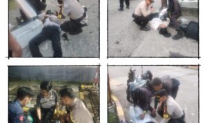 IMG-20251202-WA1382(1)