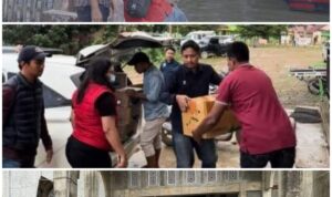 IMG-20251210-WA1842(1)