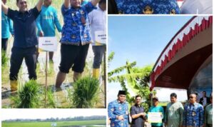 IMG-20251218-WA1305(1)