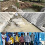 IMG-20260101-WA1316(1)