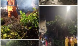 IMG-20260103-WA0973(1)