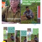 IMG-20260223-WA0193(1)